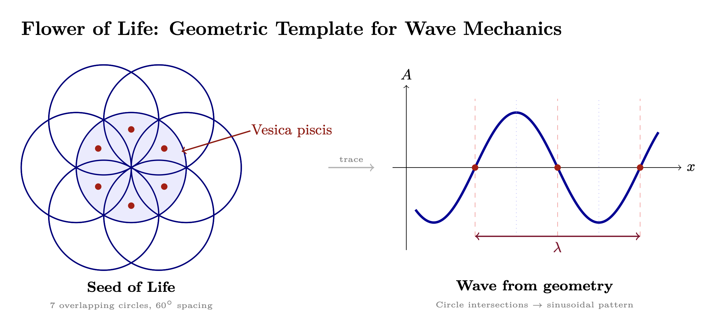 Figure 3.3: Flower of Life — overlapping circle geometry generating wave
interference patterns.